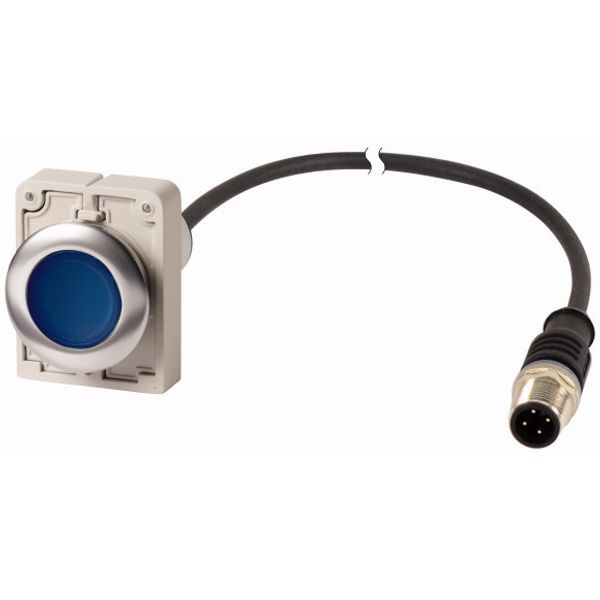 Illuminated pushbutton actuator, Flat, momentary, 1 N/O, Cable (black) with M12A plug, 4 pole, 1 m, LED Blue, Blue, Blank, 24 V AC/DC, Metal bezel image 1