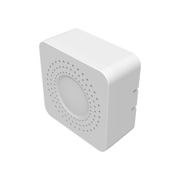 Mini Smart Switch dual-zone 5A / 10A Wi-Fi/Bluetooth Spectrum SMART image 9