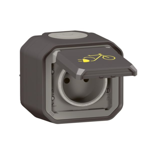 Power socket for 2 electric wheels Plexo std Franco-Belgian 16A 250V - Complete surface - Anthracite - IP55 - IK08 image 1