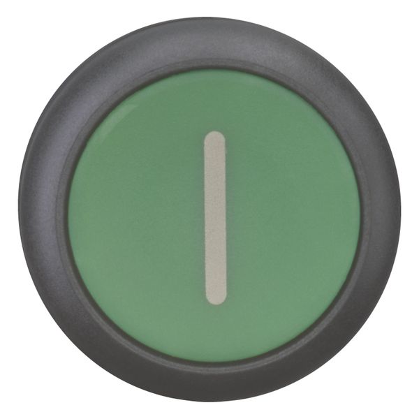 Pushbutton, RMQ-Titan, Flat, momentary, green, inscribed, Bezel: black image 10