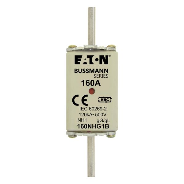Fuse-link, low voltage, 160 A, AC 500 V, NH1, gL/gG, IEC, dual indicator image 8