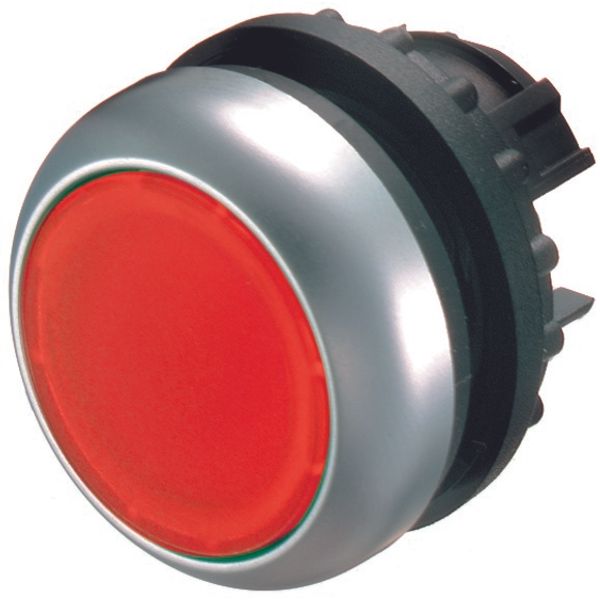 Illuminated pushbutton actuator, RMQ-Titan, Flush, momentary, Sealed and undetachable pushbutton pressel, red, Blank, Bezel: titanium image 1