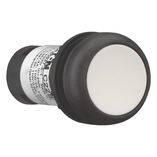 Pushbutton, Flat, maintained, 1 NC, 1 N/O, Screw connection, White, Blank, Bezel: black image 13