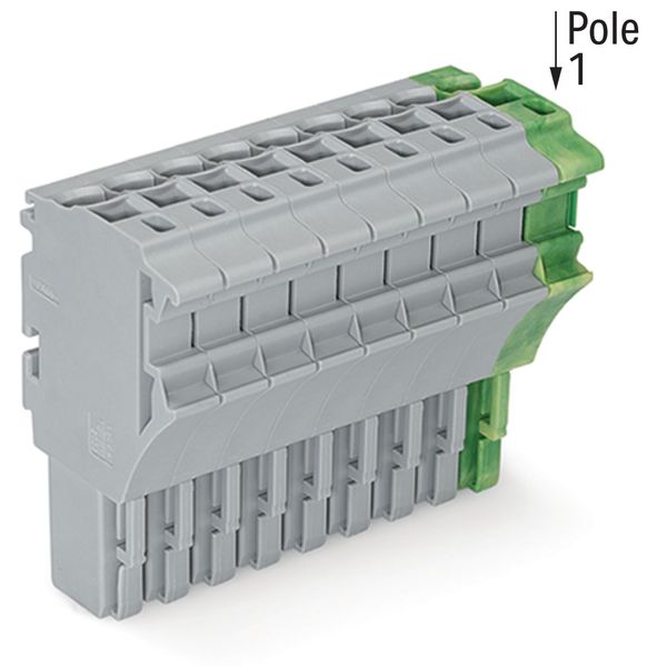 1-conductor female connector Push-in CAGE CLAMP® 4 mm² gray, green-yel image 2