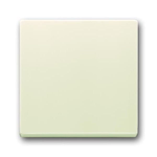 1786-82-500 Cover Plates (partly incl. Insert) Switch/push button Single rocker Without imprint ivory white - 63x63 image 1