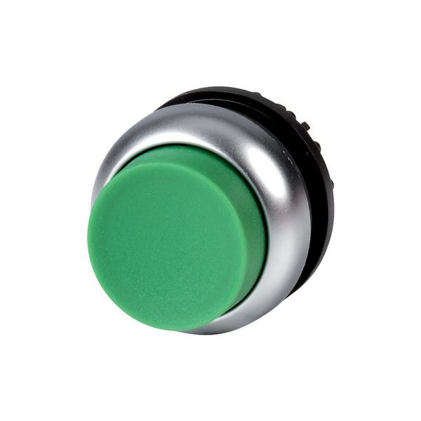 Pushbutton, RMQ-Titan, Extended, maintained, green, Blank, Bezel: titanium image 2
