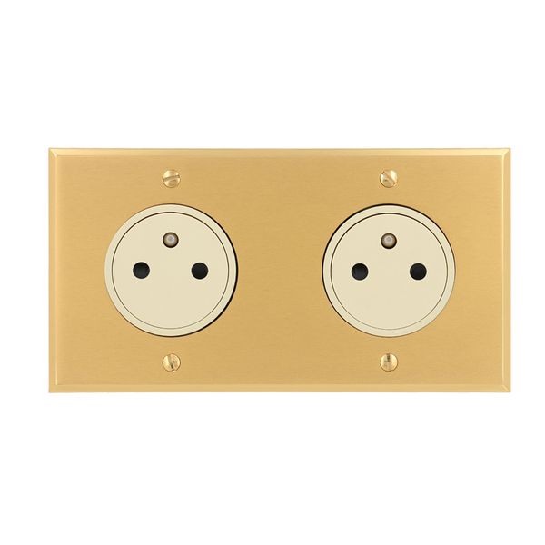 Art d'Arnould univers Double memory socket 2P+E Surface 16A 250V - brushed gold image 1