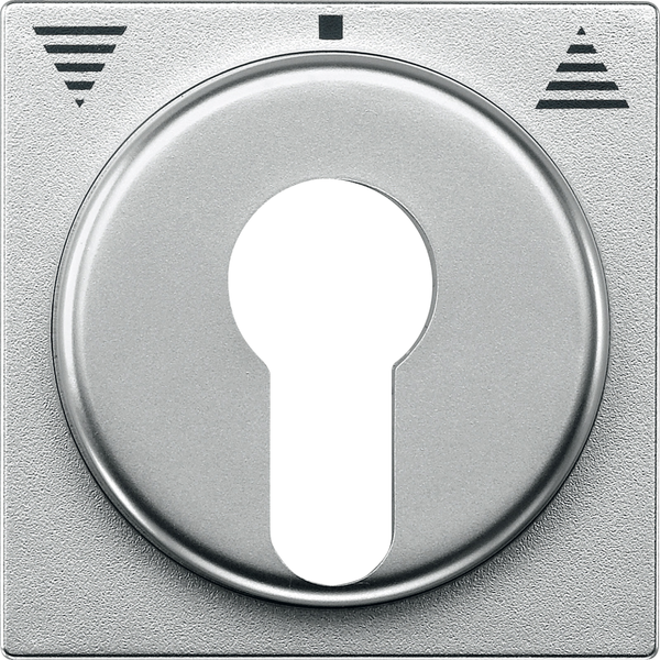 Cen.pl. f. DIN cylinder key switch inserts f. roller shut.s, aluminium, System M image 4