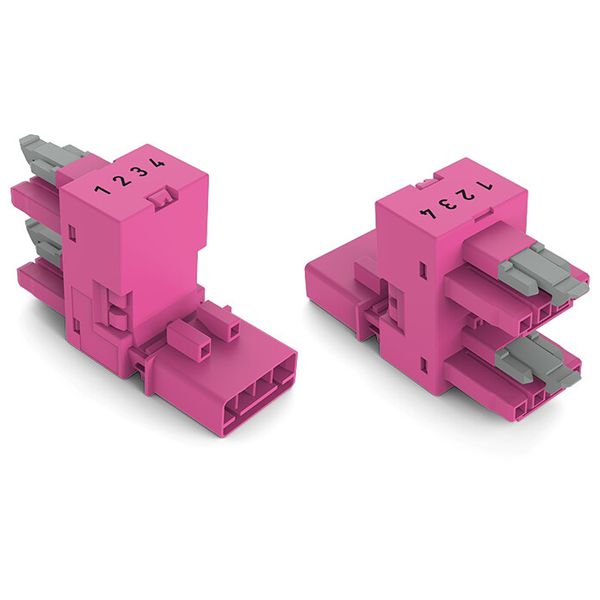 h-distribution connector 4-pole Cod. B pink image 2