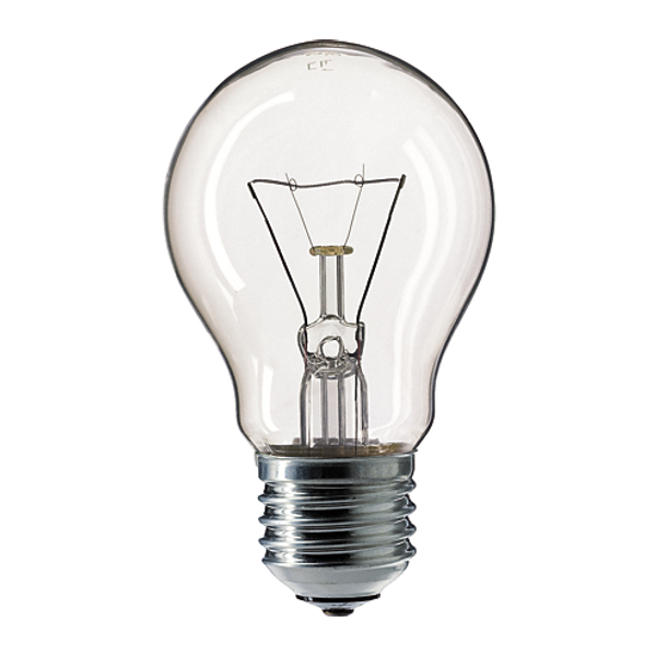 Incandescent Bulb E27 100W 130V CL image 1