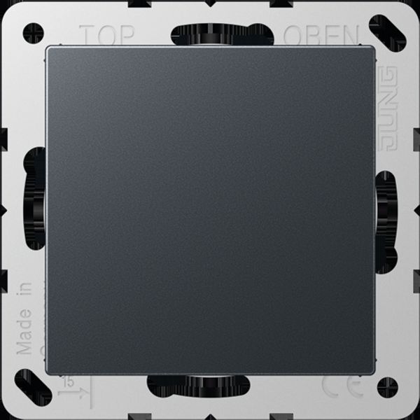 Blank centre plate A594-0ANM image 1