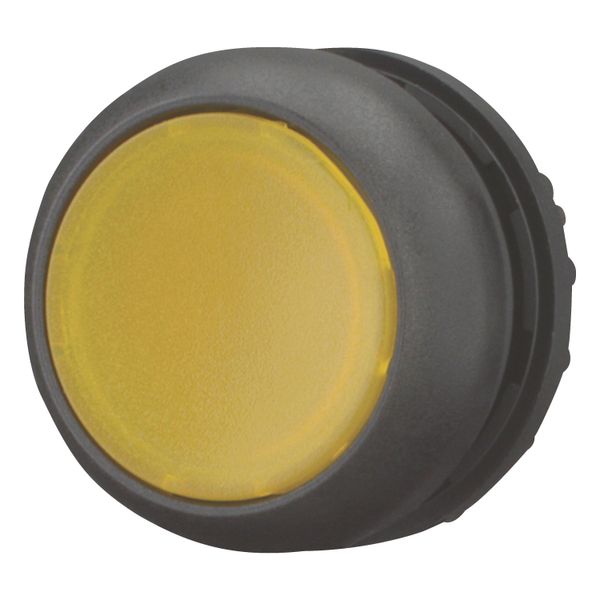 Illuminated pushbutton actuator, RMQ-Titan, Flush, momentary, yellow, Blank, Bezel: black image 4