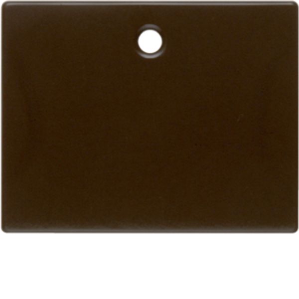 Centre plate for pullcord switch/pullcord push-button, arsys, brown gl image 1