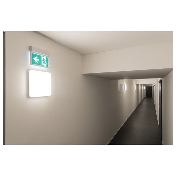 P-LIGHT Emergency Exit sign small ceiling/wall, white image 4