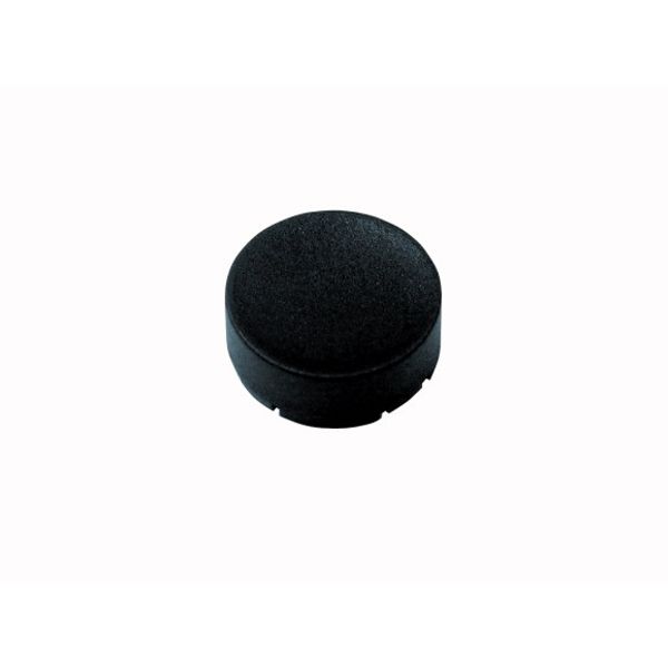 Button plate, raised black, blank image 1