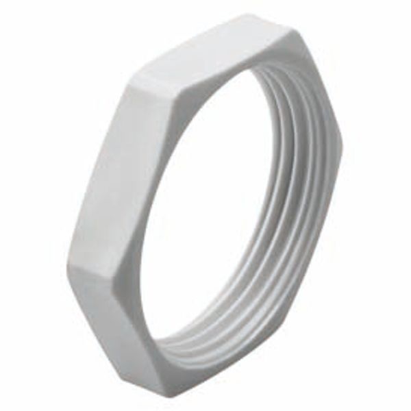 HEXAGONAL FIXING NUT - NYLON - M25 PITCH - GREY RAL 7035 image 2