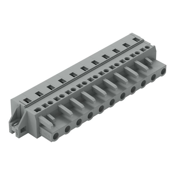 1-conductor female connector CAGE CLAMP® 2.5 mm² gray image 2