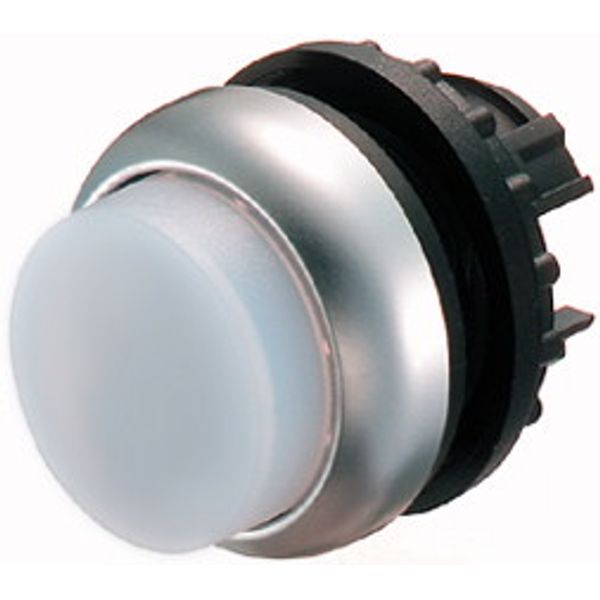 Illuminated pushbutton actuator, RMQ-Titan, Extended, momentary, White, Blank, Bezel: titanium image 1