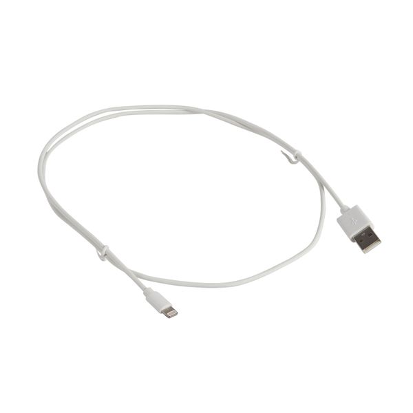 USB cord Type-A male to lightning male cable 1 meter image 1