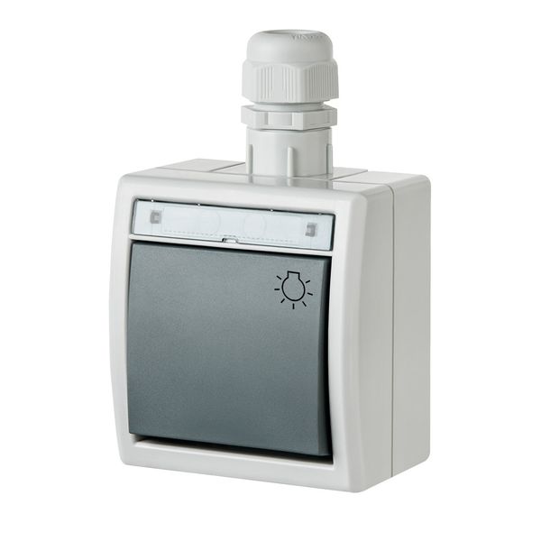 AQUANT PUSH "LIGHT" SWITCH image 2