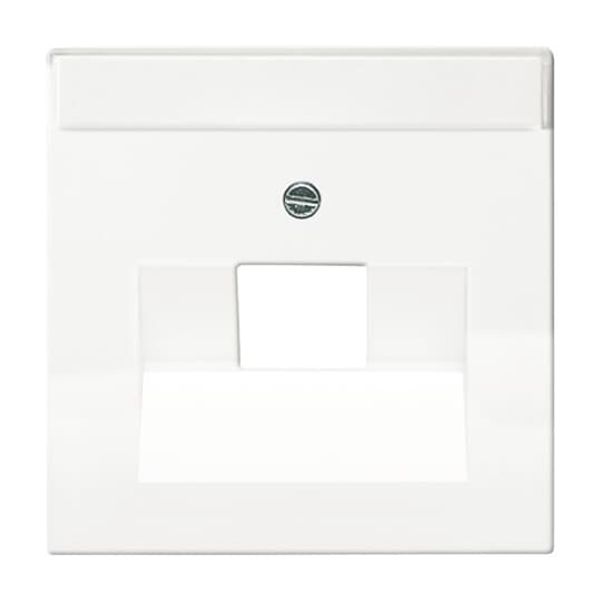 1750-84 CoverPlates (partly incl. Insert) future®, Busch-axcent®, solo®; carat® Studio white image 3
