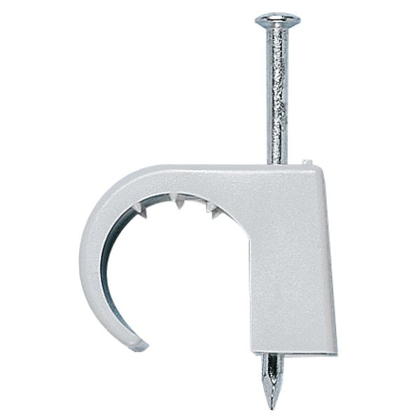 Wall nail clip with steel nail 7-12mm/2.0x25mm image 1