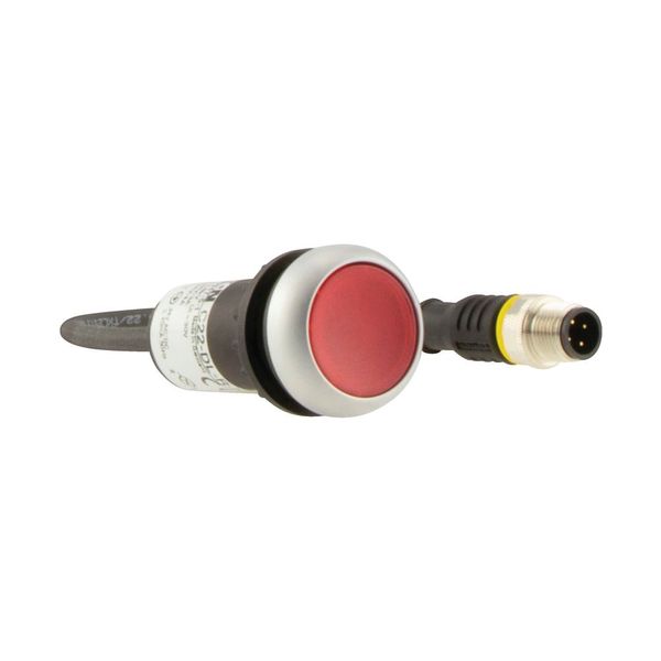 Illuminated pushbutton actuators, maintained, red, 24v, 1 N/C, with cable 1m and M12A plug image 10