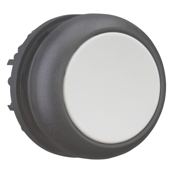 Pushbutton, RMQ-Titan, Flat, momentary, gray, Blank, Bezel: black image 12