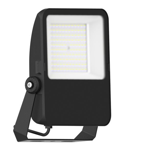 Capri LED Basic 100W 11000lm 4000K asymmetric IP65 black image 2