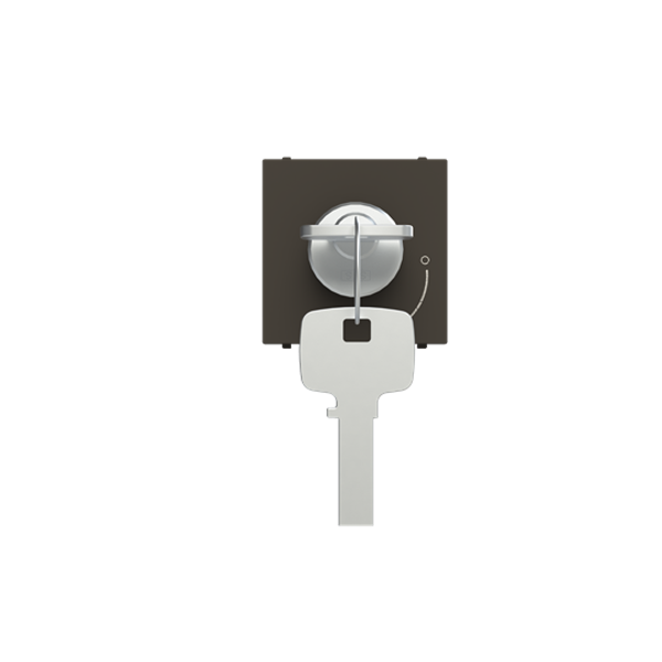 N2253.2 AN Key pushbutton Anthracite - Zenit image 1