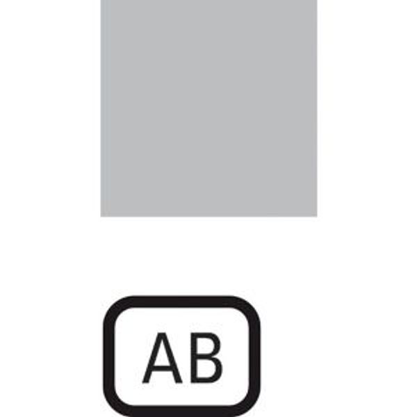 Insert label, transparent, AB image 2