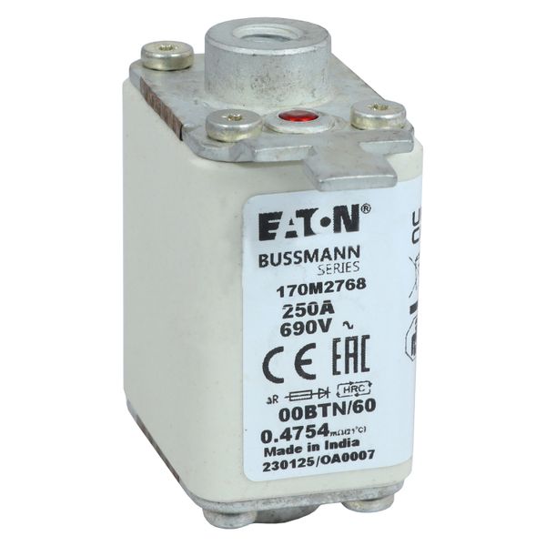 Fuse-link, high speed, 250 A, AC 690 V, size 00, 30 x 62 x 64 mm, aR, IEC, single indicator image 25