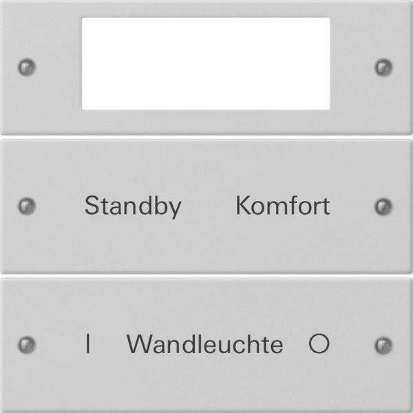 rocker set 2-g Plus inscr. System 55 grey m(lac.) image 1