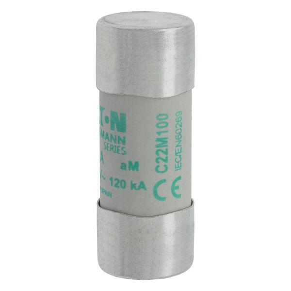 Fuse-link, LV, 100 A, AC 500 V, 22 x 58 mm, aM, IEC image 19