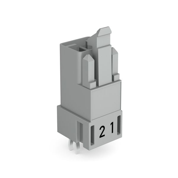 Plug for PCBs straight 2-pole gray image 1