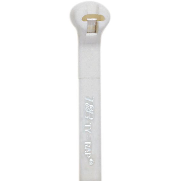 TY242M-9 CABLE TIE 40LB 8IN WHITE NYLON image 1