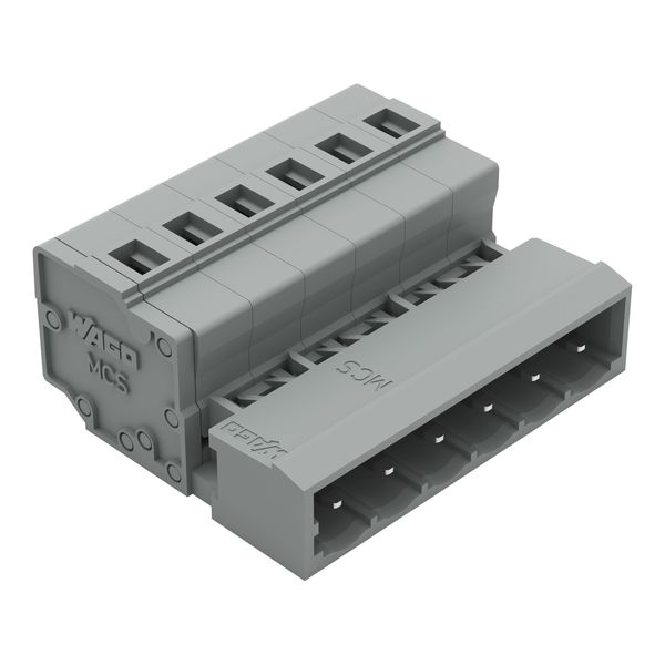 1-conductor male connector CAGE CLAMP® 2.5 mm² gray image 1