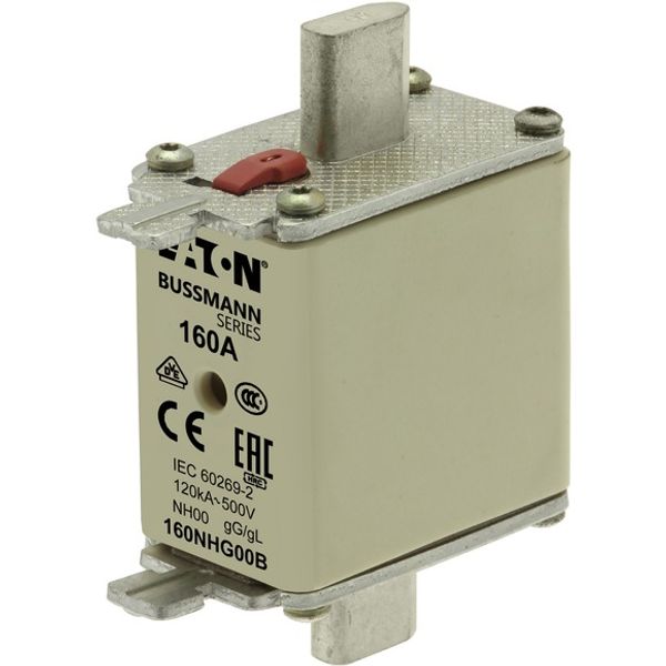 Fuse-link, LV, 160 A, AC 500 V, NH00, gL/gG, IEC, dual indicator, live gripping lugs image 9
