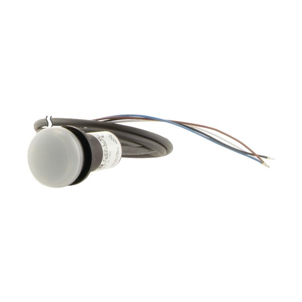 Indicator light, Flat, Cable (black) with non-terminated end, 4 pole, 3.5 m, Lens white, LED white, 24 V AC/DC image 6