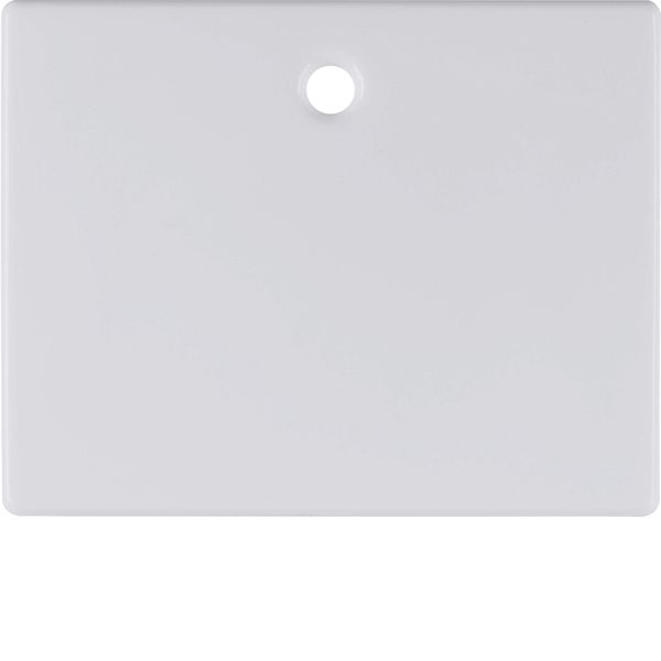 Centre plate for pullcord switch/pullcord push-button, arsys, p. white image 2