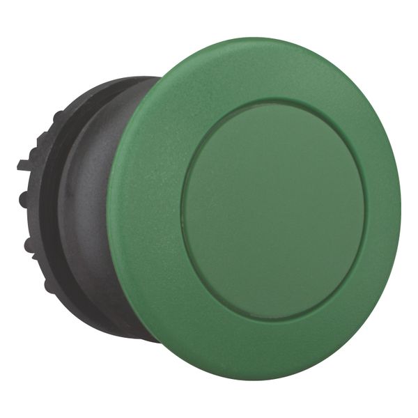 Mushroom actuator, RMQ-Titan, Mushroom, maintained, Mushroom green, green, Blank, Bezel: black image 13