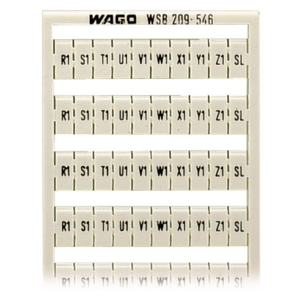 WSB marking card as card MARKED white image 1