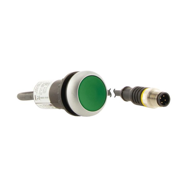 Pushbutton, Flat, momentary, 1 N/O, Cable (black) with M12A plug, 4 pole, 1 m, green, Blank, Bezel: titanium image 15