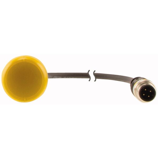 Indicator light, Flat, Cable (black) with M12A plug, 4 pole, 0.2 m, Lens yellow, LED white, 24 V AC/DC image 2