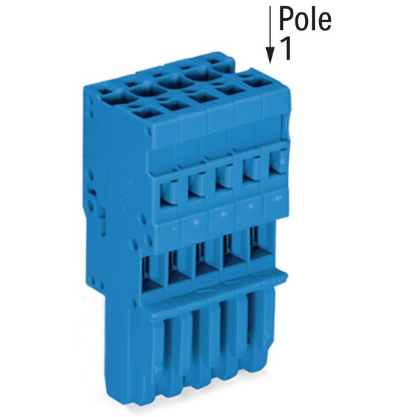 1-conductor female connector CAGE CLAMP® 4 mm² blue image 4