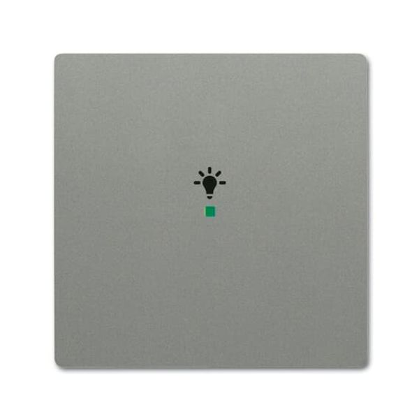 SRL-1-803 Electronic Controls free@home grey metallic - 63x63 image 5