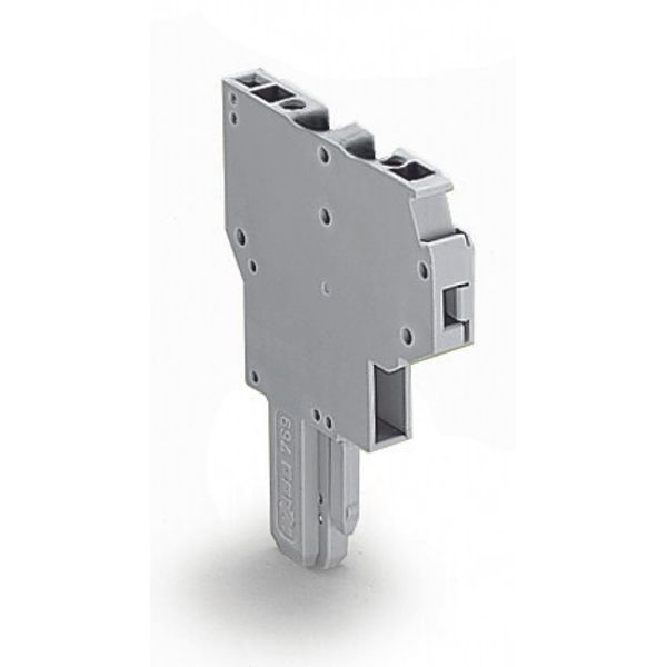 2-conductor female connector CAGE CLAMP® 4 mm² gray image 3