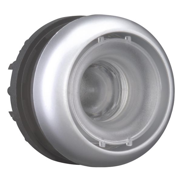 Pushbutton, RMQ-Titan, momentary, Without button plate, Bezel: titanium image 8