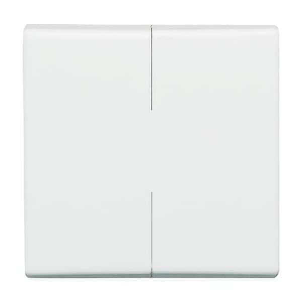 2108-34 CoverPlates (partly incl. Insert) carat® Alpine white image 5