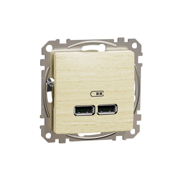 Sedna Design & Elements, USB charger A+A, 2,1, wood birch image 5